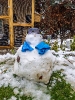 Schneemann_2